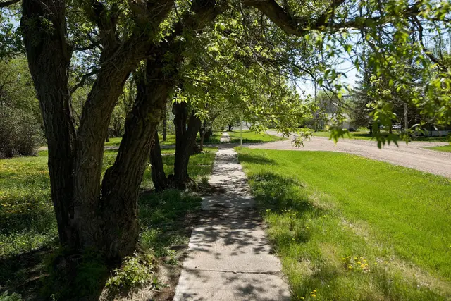 Tree-lined sidewalk and gravel street